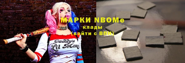 шишки Арсеньев