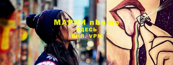 шишки Арсеньев