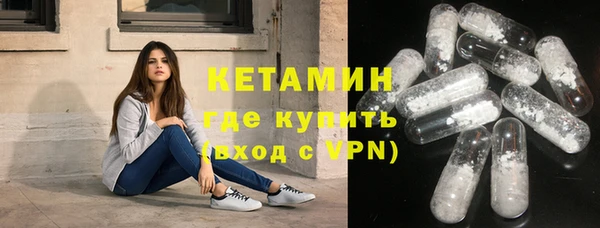 шишки Арсеньев