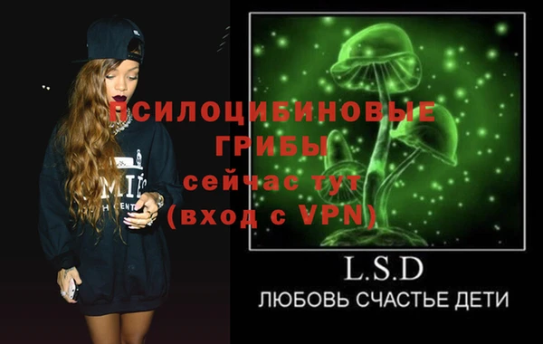 соль ск Пересвет