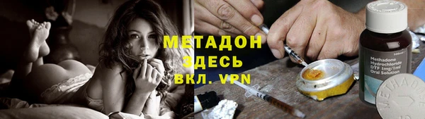 шишки Арсеньев