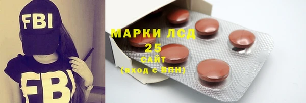шишки Арсеньев