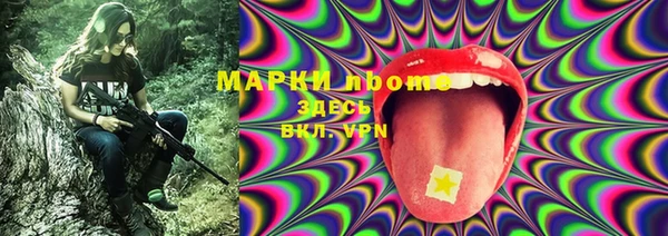 шишки Арсеньев