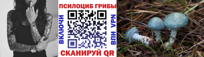 Псилоцибиновые грибы Psilocybe  наркота  Аркадак 